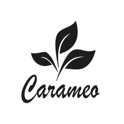 Partner Carameo